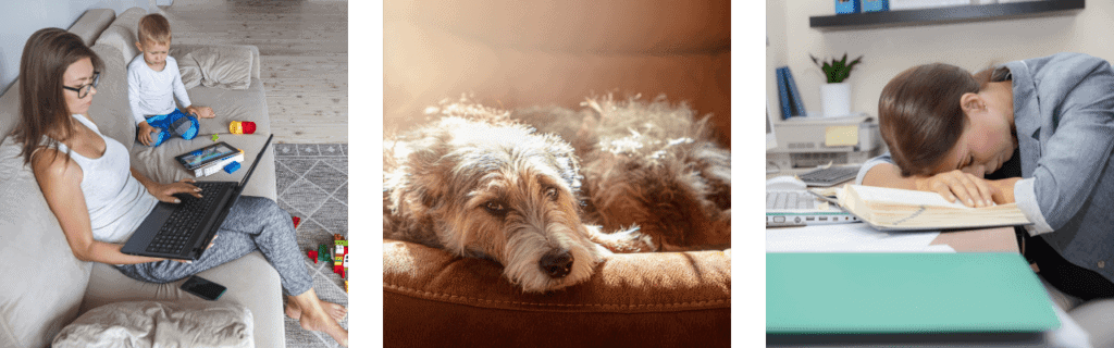 a woman on the couch with her toddler. A dog laying in the sun. A woman at her desk with her head down. 