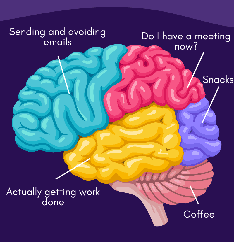 a funny image of the human brain at work with captions about sending emails and getting snacks. 
blog